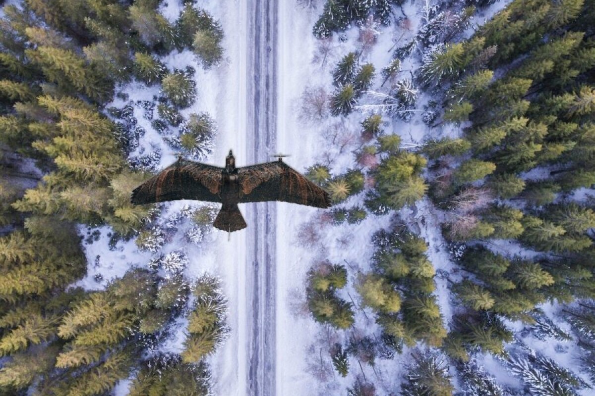 Eagle hot sale shaped drone
